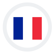 SEO Services in France